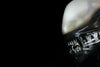 Alien: ALIEN - Life-size Replica Statue (Ask)