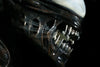 Alien: ALIEN - Life-size Replica Statue (Ask)