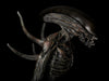 ALIEN COVENANT - Life-size "ALIEN" STATUE (SOLD OUT)