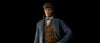 FANTASTIC BEASTS 2 - "Newt" & "Niffler" (life-size) - IN STOCK!