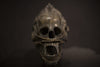 Screen-Used ALIEN Head (SOLD)