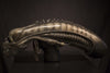 Screen-Used ALIEN Head (SOLD)
