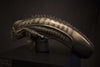 Screen-Used ALIEN Head (SOLD)
