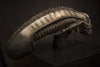 Screen-Used ALIEN Head (SOLD)