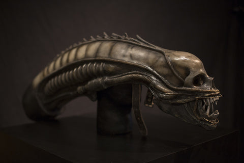 Screen-Used ALIEN Head (SOLD)