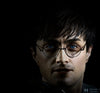 HARRY POTTER FRANCHISE: OPTIONAL 1:1 SILICONE HEAD (for life-size statue)! (Ltd. Edition)