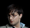 HARRY POTTER FRANCHISE: OPTIONAL 1:1 SILICONE HEAD (for life-size statue)! (Ltd. Edition)