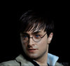 HARRY POTTER FRANCHISE: OPTIONAL 1:1 SILICONE HEAD (for life-size statue)! (Ltd. Edition)