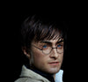 HARRY POTTER FRANCHISE: OPTIONAL 1:1 SILICONE HEAD (for life-size statue)! (Ltd. Edition)