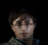 HARRY POTTER FRANCHISE: OPTIONAL 1:1 SILICONE HEAD (for life-size statue)! (Ltd. Edition)