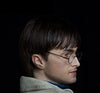 HARRY POTTER FRANCHISE: OPTIONAL 1:1 SILICONE HEAD (for life-size statue)! (Ltd. Edition)