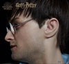 HARRY POTTER FRANCHISE: OPTIONAL 1:1 SILICONE HEAD (for life-size statue)! (Ltd. Edition)