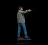 HARRY POTTER FRANCHISE: OPTIONAL 1:1 SILICONE HEAD (for life-size statue)! (Ltd. Edition)