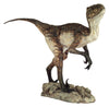 Dinosaurs: VELOCIRAPTOR / DEINONYCHOS 2 (Closed Jaw) - Life-size Collectible Statue