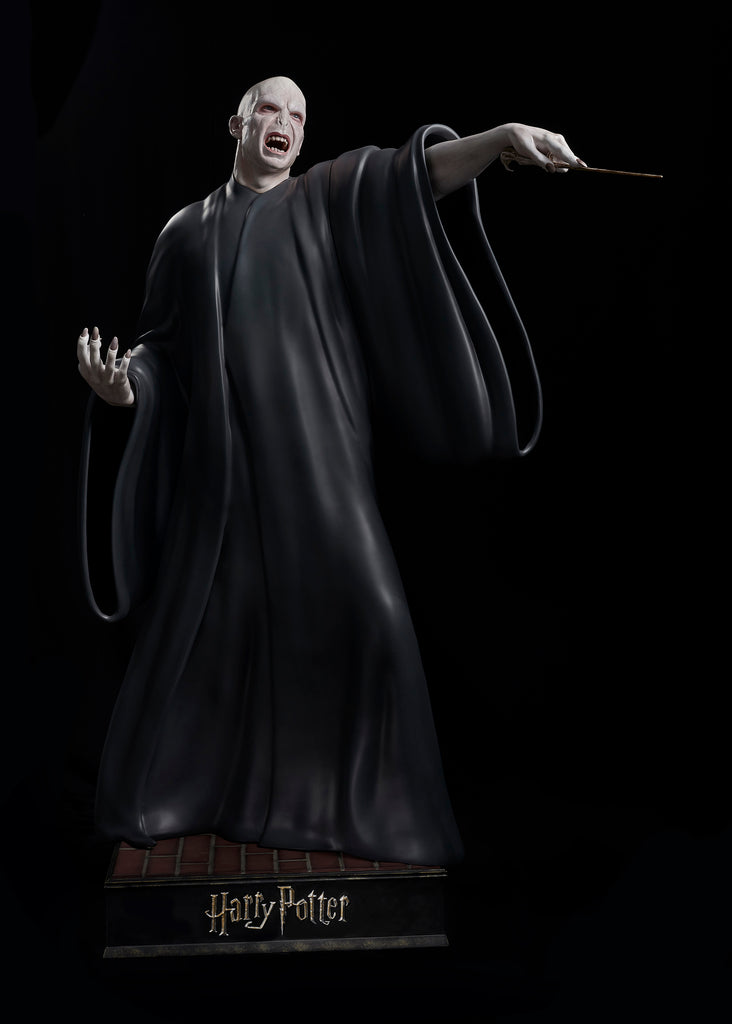 Voldemort Normal Voldemort Full Body