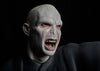 HARRY POTTER FRANCHISE: VOLDEMORT LIFE-SIZE STATUE