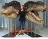 Dinosaurs: T-REX (closed jaw) - Life-size Collectible Statue